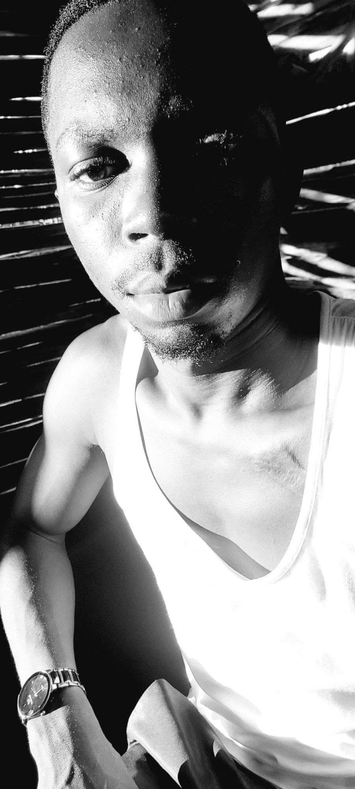Xolan