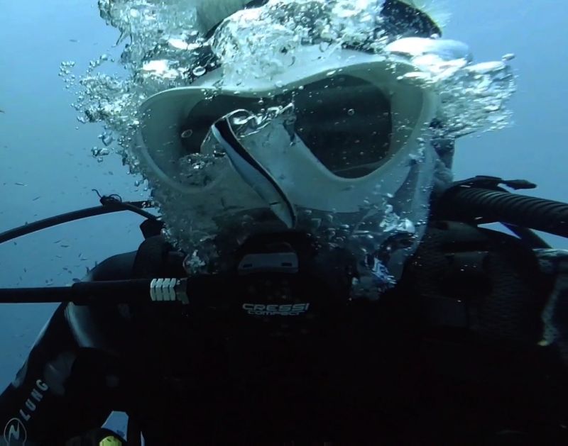Halocline